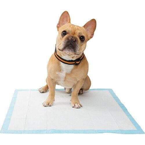 Only One Kedi Köpek Çiş Pedi 60x90 cm Yatak Koruyucu 30'lu paket