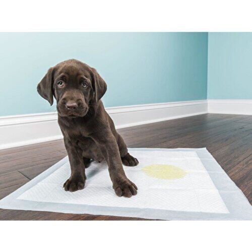 Only One Kedi Köpek Çiş Pedi 60x90 cm Yatak Koruyucu 30'lu 2 paket / 60 adet