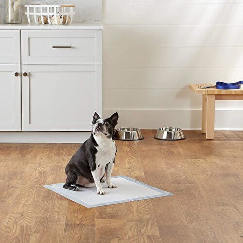 Only One Kedi Köpek Çiş Pedi 60x90 cm Yatak Koruyucu 30'lu 3 paket / 90 adet